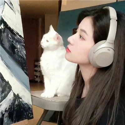 刀背藏身